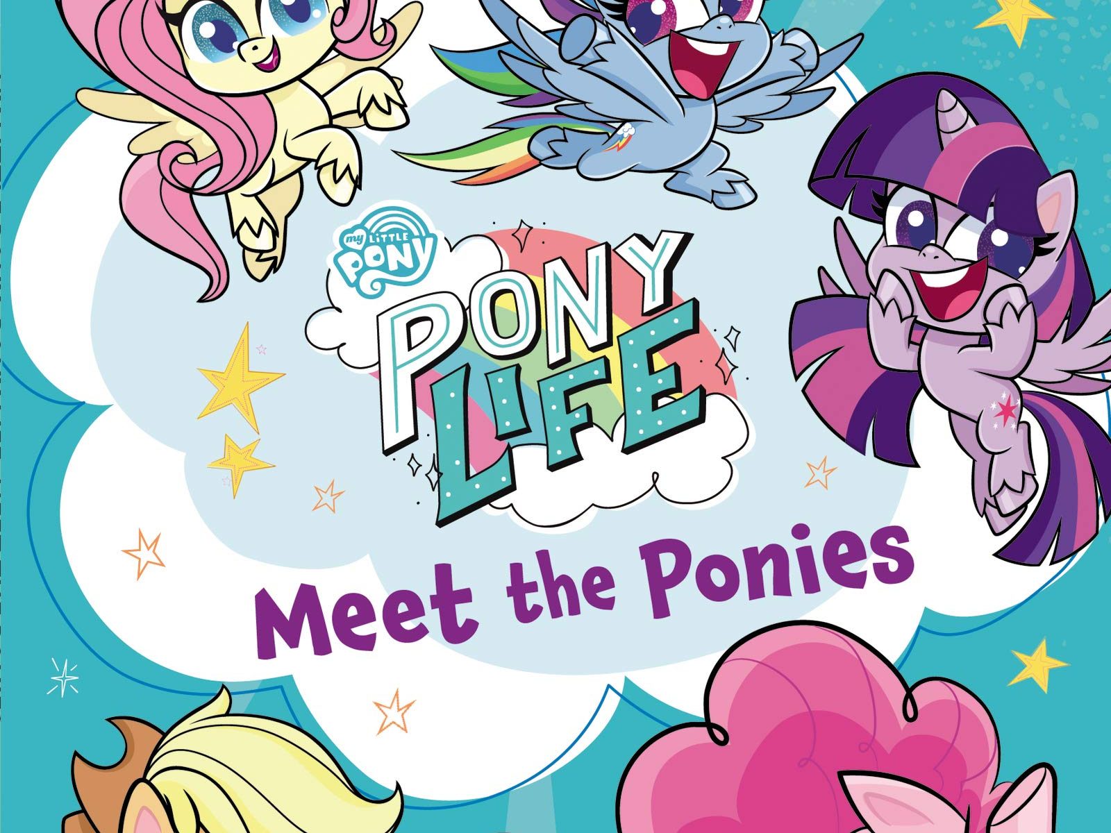 MLP: PL Meet the Ponies Book